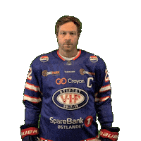 Goal Yes Sticker by VIF Hockey