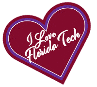Graduation Commencement Sticker by Florida Tech