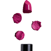 Cosmetics Lipstick Sticker by PAC