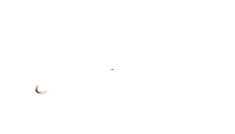 Chocolate Nestle Sticker by Cereal Love Ec