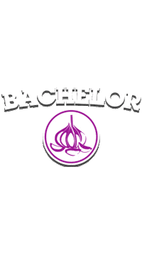Animation Logo Sticker by Bachelorsrl