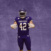 Football Wesleyan GIF by KWC Panthers