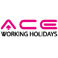 Summer Holiday Sticker by AceWorkingHolidays