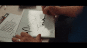 New York Yankees Sport GIF by MLB
