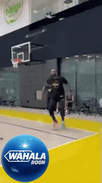 Lebron James Basketball GIF by Wahala Room