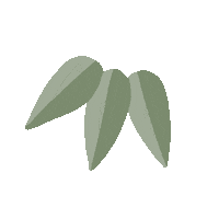 Bamboo Sticker