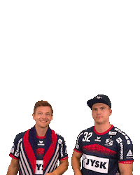 Handball-Bundesliga Fan Sticker by LIQUI MOLY HBL