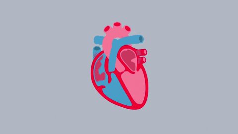 heart failure GIF by British Heart Foundation