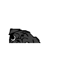 Robukan pug carlin robukan robukane Sticker