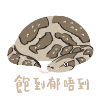 Wildlife Eating Sticker