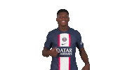 Football Soccer Sticker by Paris Saint-Germain