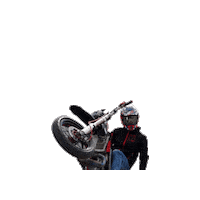 Bikelife Sticker by WheelieTime