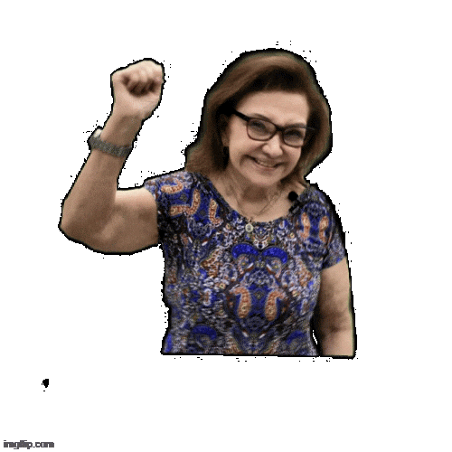 deptelmadesouza giphyupload lula haddad telma Sticker