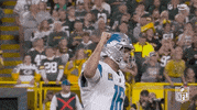 National Football League GIF by NFL