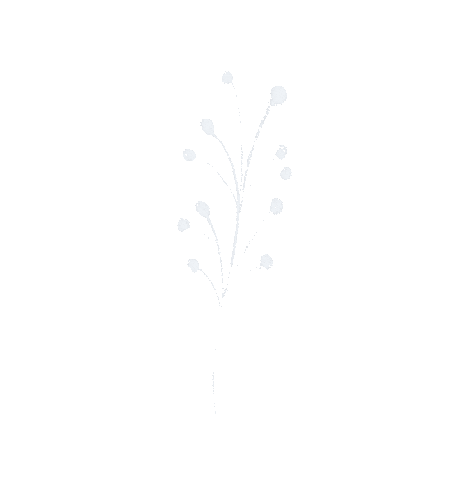 faylynnvivian giphyupload nature flower plant Sticker