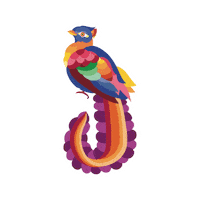 Fun Coffee Sticker by Juan Valdez