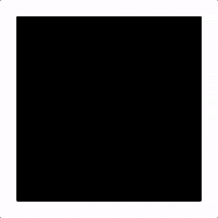 Study Association Business GIF by EBF Groningen