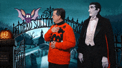 stephen colbert omg GIF by The Late Show With Stephen Colbert