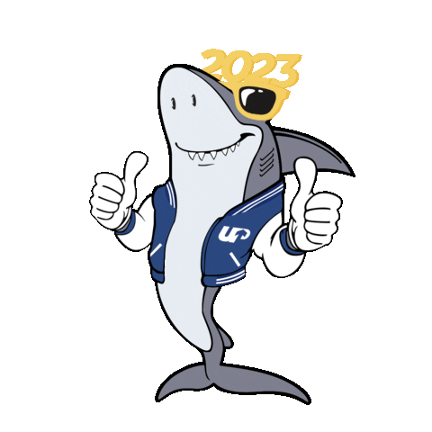 Celebrating New Year Sticker by Universidad del Pacífico Paraguay