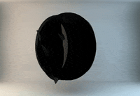 art GIF by Miron