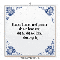 Spreuk Trots GIF by Tegelspreuken.nl