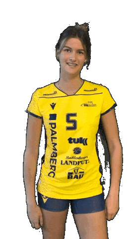 Schwerinersc Sticker by SSCPalmbergSchwerin