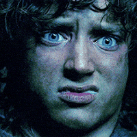 Lord Of The Rings GIF