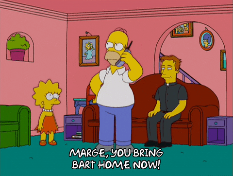 homer simpson episode 21 GIF