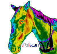 Thermal Imaging Veterinaria Sticker by Poliscan
