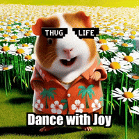 Wisdom Enlightenment GIF by Guinea Gambino
