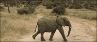 baby running GIF