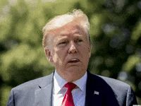 Fun Clubhouse GIF by Gallery.fm