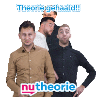 Nu Geslaagd Sticker by Nutheorie