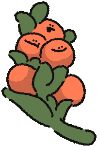 Xmas Sticker