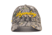 Head Hat GIF by VeeFriends