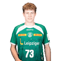 No Problem Handball Sticker by SCDHFK