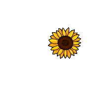 Hide Sunflower Sticker