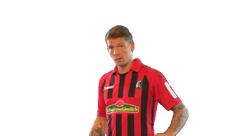 Sc Freiburg Celebration Sticker by SCF