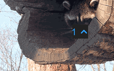 certifiedrat giphyupload GIF