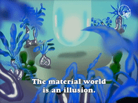 The Material World is an Illusion