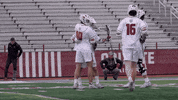Celebration Goal GIF by Colgate Athletics