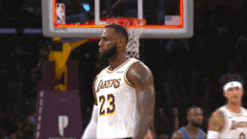 Lebron James Reaction GIF by NBA