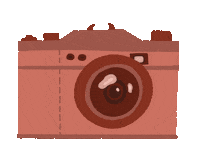 Film Photography Sticker