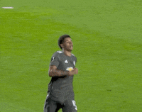 Europa League Football GIF by UEFA