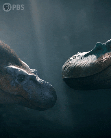 Walking With Dinosaurs Love GIF by PBS