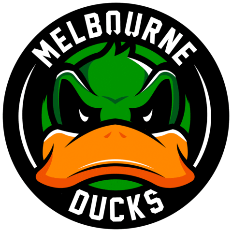 Ice Hockey Melbourne Sticker by icehq