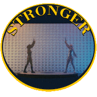 Sam Feldt Sticker by Spinnin' Records