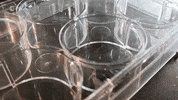 europeanspaceagency space health science tech GIF
