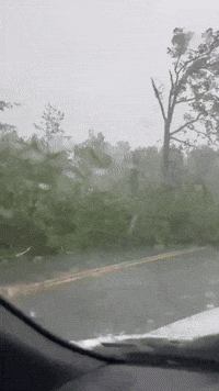Severe Storm Damages Trees in Middle Tennessee