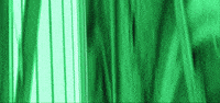 Rhodurban GIF by Showmax